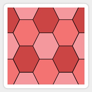 Red/Pink Hexagon Magnet